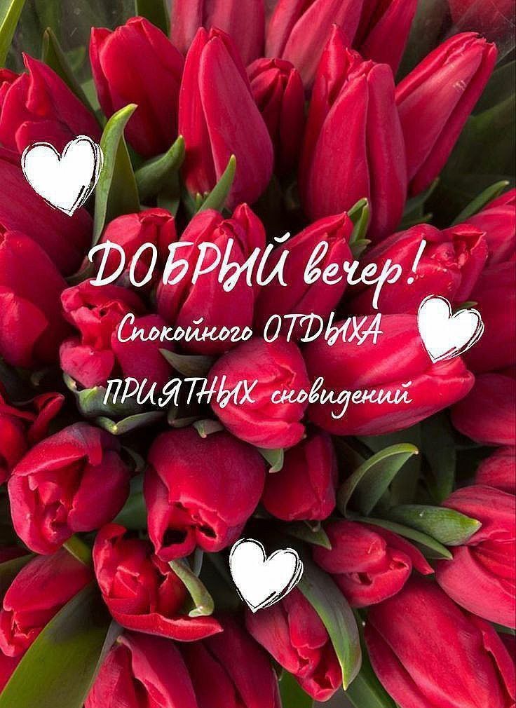 ПРИВЕТСТВИЯ и ПОЖЕЛАНИЯ, открытки на каждый день. - 23 октября 2025 в 20:42 - 3