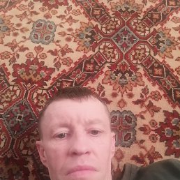 ������, 44 ����, ����