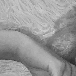 ��������, ������, 41 ���