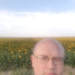 ���� ����, ������, 52 ���� - ��������� 20 ������ 2024