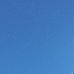 ����, ������, 36 ���