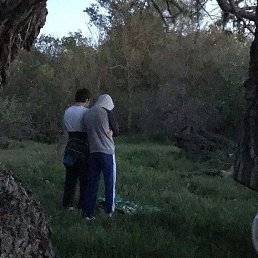 ��������, ������, 20 ���