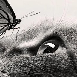 ����, �����, 48 ���