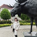 ���� ����, ������, 53 ���� - ��������� 16 ��� 2026 � ������ ���� ����������