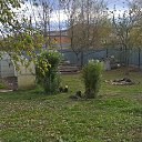 ���� ������, ��������, 40 ��� - ��������� 8 ����� 2025 � ������ ������ ��������