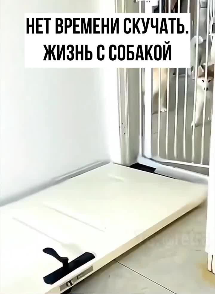 ��� ������� � ���� � ��� ������