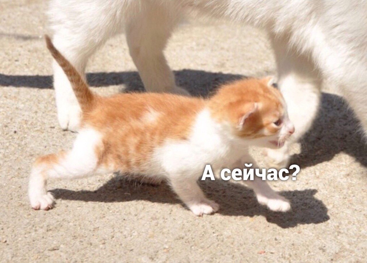  ! - 2