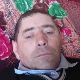 ����� ��������, ������, 44 ����