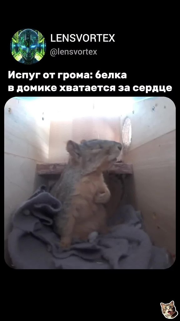 � ����� ������ ����� �� ����������� - 2