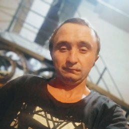 , 33, 