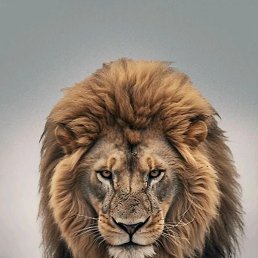 ���������, ����, 30 ���