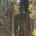 ���� �������, ������, 61 ��� - ��������� 19 �������� 2025 � ������ ���� ����������