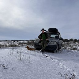 ������, ���������, 31 ���