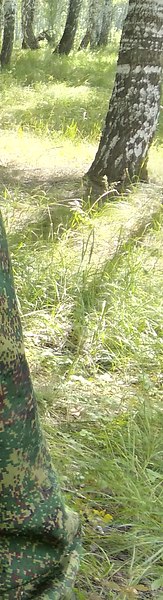 Xfqybr2, ���������, 64 ����