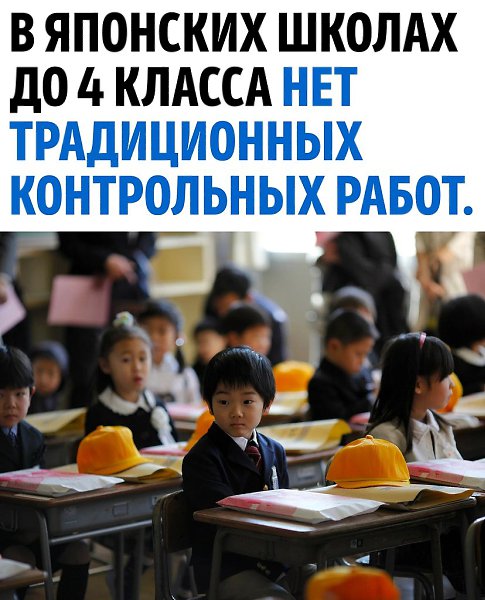 Кажется, это очень правильный вариант развития.