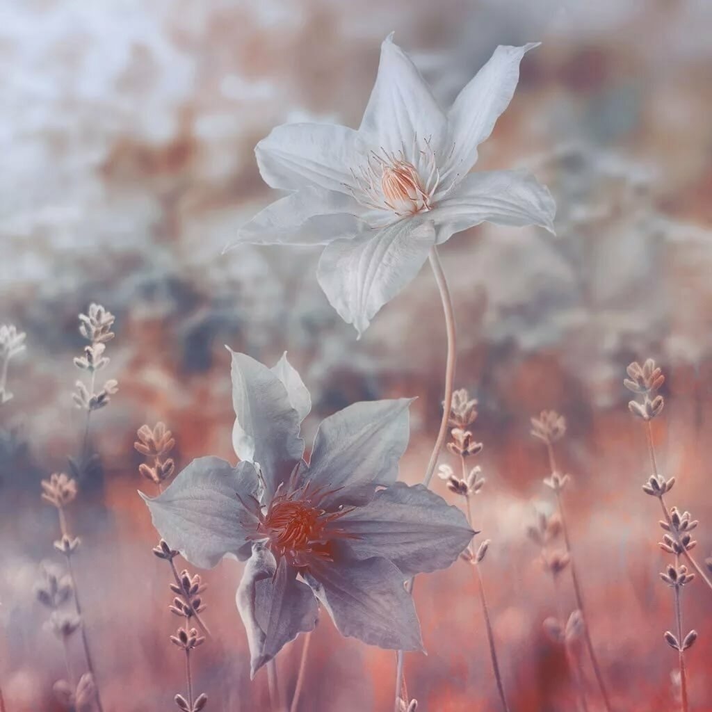 ���� ����, ������� ����� ���� � 10-� ����, � ���� ��, ��� ���� � 1-� ��� ���� ������.