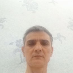 , 46, 