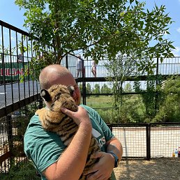 �������, ������, 32 ����