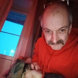 , 63, 