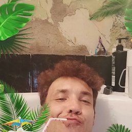 ���� ��� �����, ������������, 43 ���� - ��������� 4 ������� 2024