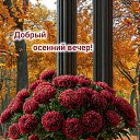 ���� Zv ����� ����� ���������!!! V, ����� - ��������� 11 �������� 2026 � ������ ������ ��������