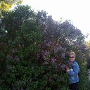 ���� �������, ���������, 63 ���� - ��������� 1 ������ 2025 � ������ ���� ����������