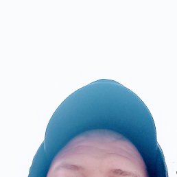 , 33 , 