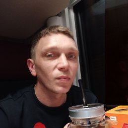 ���� �������, ����, 42 ���� - ��������� 28 ������ 2024