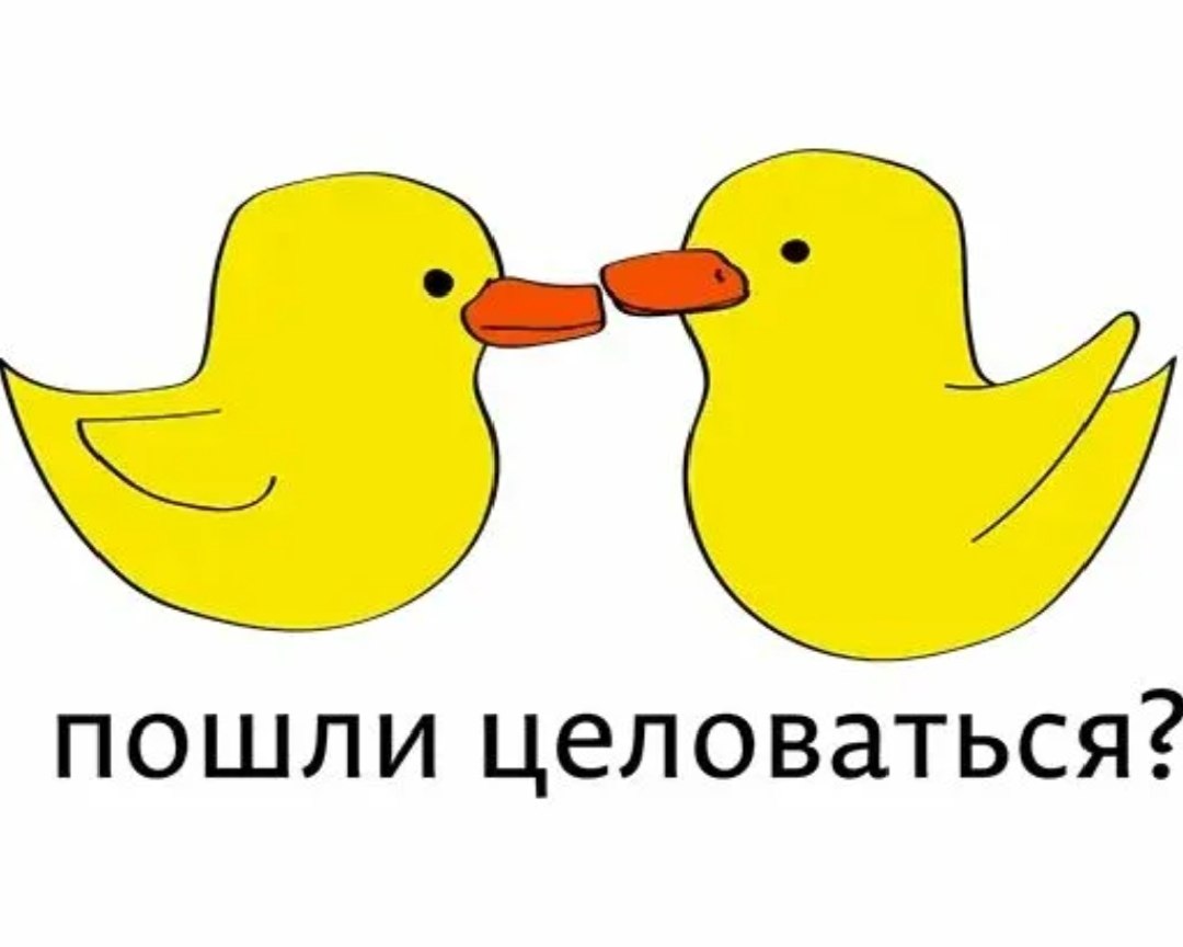  ?)))