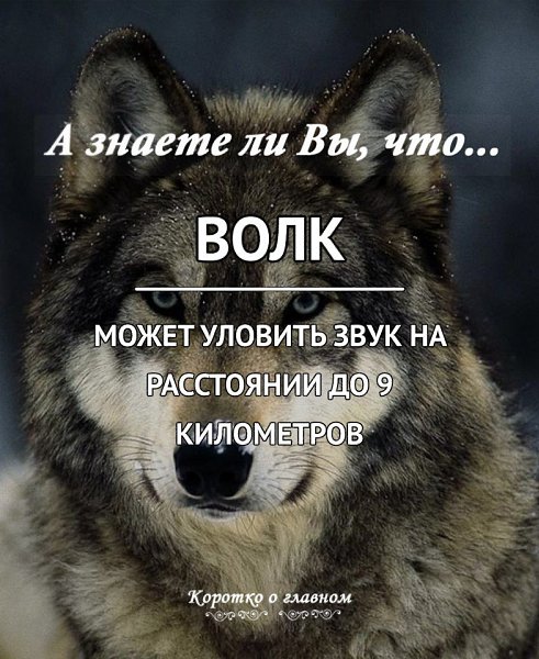 � ������ �� ��, ���...