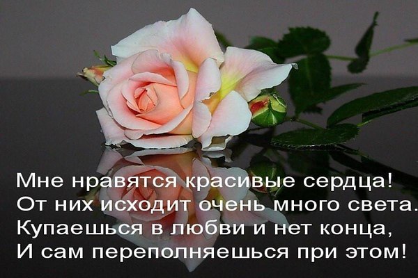 ����� �������� - 13 ����� 2025 � 08:48
