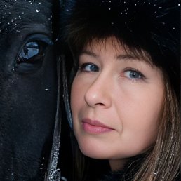 �����, ��������, 46 ���