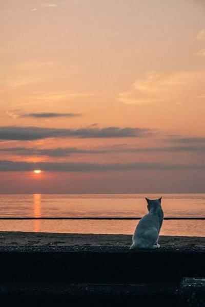 ������ ����. ��������� ������!!! ������� 1665 ������� - 2