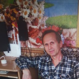 ������, ��������, 66 ���