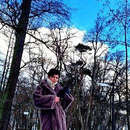 �������, �����������, 53 ����