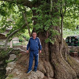 Tarlan, ����, 56 ���