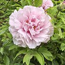 ���� ������, �����, 71 ��� - ��������� 27 ������ 2025 � ������ ���� ����������