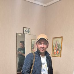 , 37, 