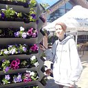 ���� ���������, ���������, 43 ���� - ��������� 4 ��� 2025 � ������ ���� ����������