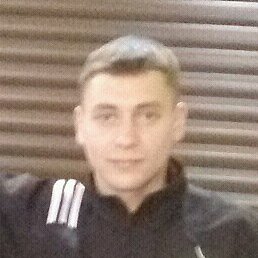 ������, �������, 36 ���