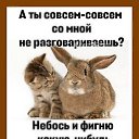 ���� Katrin, ������ - ��������� 3 ���� 2026 � ������ �+++�