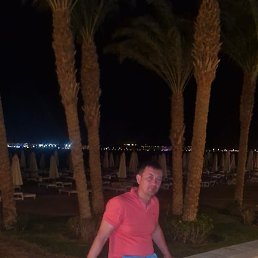 �����, ����, 41 ���