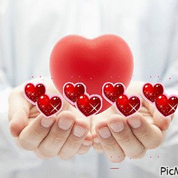 ����������, �����, 58 ���