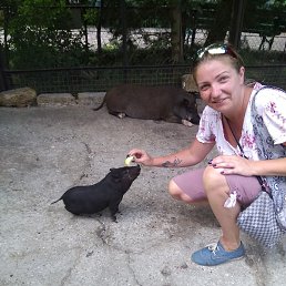 ������, ���������, 44 ����