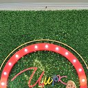 ���� ��������, ������������, 49 ��� - ��������� 1 ������ 2026 � ������ ���� ����������