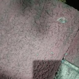 Shamshad Ansari, �����������, 25 ���