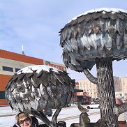 ������, 52 ����, �������