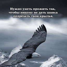���� �����, ���������, 48 ��� - ��������� 14 ������ 2023