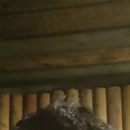 �������� ����������, ������, 63 ����