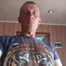 , 37 , 